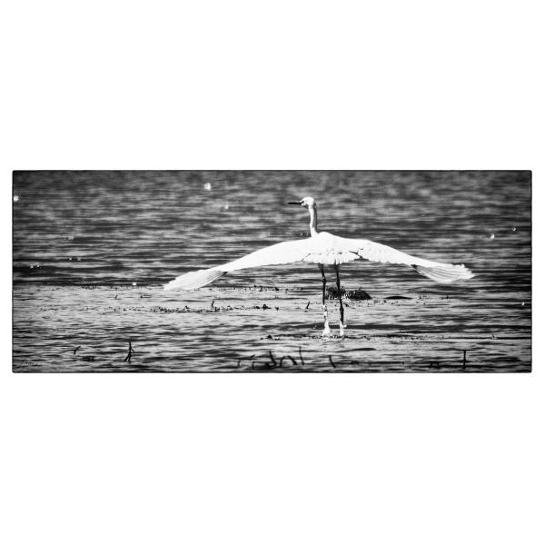 PHOTO84, CLUB, 84 , LUBERON